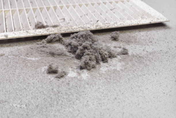 Best Affordable Air Duct Cleaning  in Dormont, PA