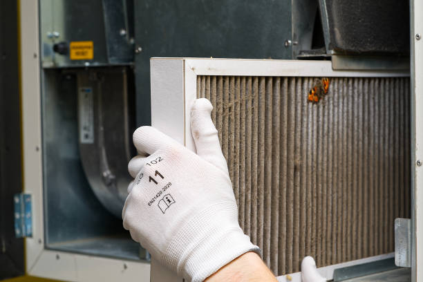 Best Local Air Duct Cleaning Services  in Dormont, PA