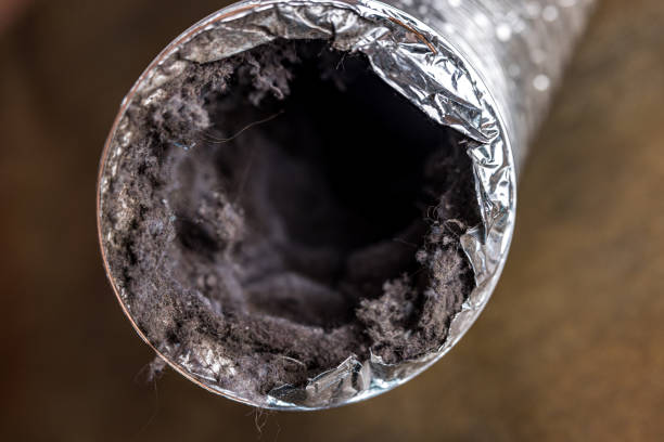 Best Best Air Duct Cleaning Company  in Dormont, PA